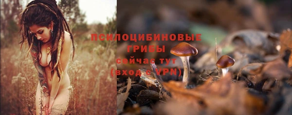 бутират Михайловка